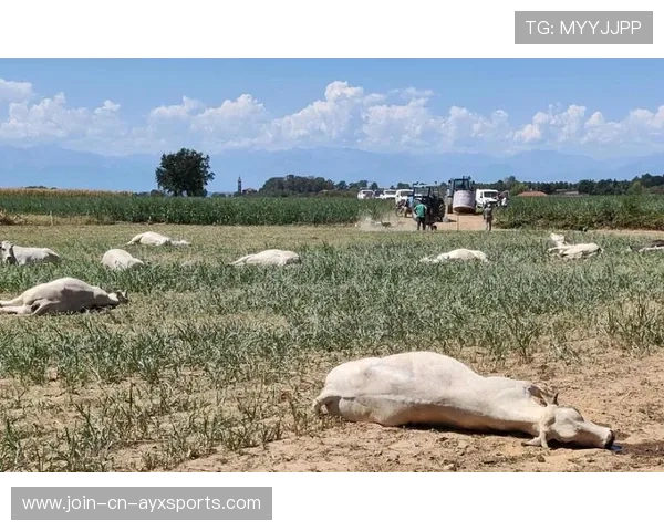 都灵边路冲击反而带来巨大效果
