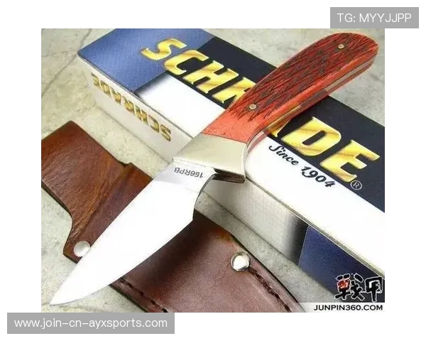 击剑匕首式反击成新战术要点,教练圈热议